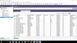 Custom ACL Analytics Workshop - Invoice Duplicates (SSSS Technique)