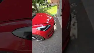 Tesla first MOT! is it that hard?!?! #automobile #tesla #tesla #to