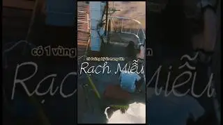 Ph&agrave; Rạch Miễu giờ chỉ c&ograve;n l&agrave; k&yacute; ức ch&iacute;nh thức ngừng hoạt động từ khi th&ocirc;ng xe Cầu Rạch Miễu 2