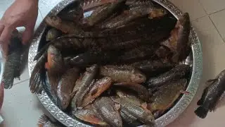Satisfying Fresh Fish Cutting 🐟 + Colorful Veggie Haul 🥬 | Market to Kitchen ASMR!