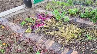 December allotment tour
