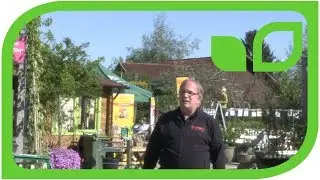 Lubera zu Besuch bei Garten-Center Meier in D&uuml;rnten (CH)