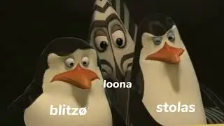 sonic x:multiverse(cartoon cat &eacute; cartoon dog mostrando fotos pessoais do blitz&oslash;) #helluvaboss #memes