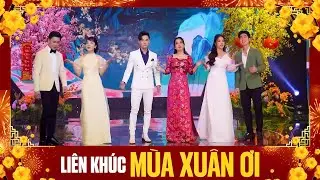 LK Nhạc Xuân 2026, LK Mùa Xuân Ơi - Ngọc Diệu, Hoàng Hải, Hồ Phương Liên, Thanh Vinh, Bằng Chương...