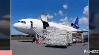 Indigo cargo Services 0981167896