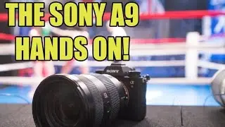 THE SONY A9!! HANDS ON with this new Powerhouse Camera!