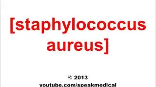 Pronounce Staphylococcus Aureus | SpeakMedical