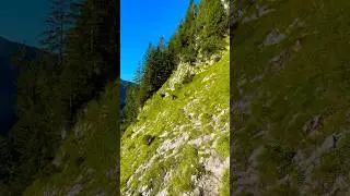 we took the wrong path 🤔 #mistakes #path #hiking #instrumental #switzerland #mountains #nature