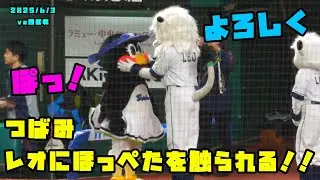 つばみ　レオにほっぺたを触られる！！　2025/6/3 vs西武