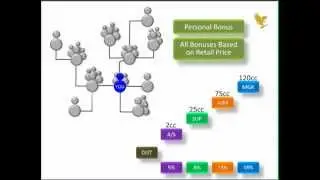 Маркетинг план FLP