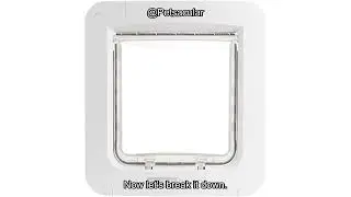 SureFlap Microchip Pet Door Connect Review: Is It Worth the Investment for Your Pet?
