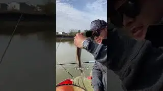 What Fishermen Don't Want You to Know About Rapid Water Level Drops