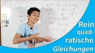 Rein quadratische Gleichungen|Einfach erklärt