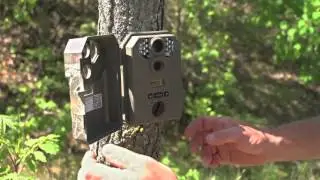 Stealth Cam P14 Infrared Trail Camera, 8MP