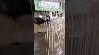 Mother and baby Plastic  Extruder machine Plastic reprocessing plant 9810072849