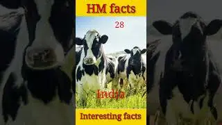 Top 3 interesting facts #facts #interestingfacts #HM facts