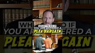 Offered a Plea Bargain? What Can You Do? 🏛