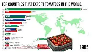 Top Countries in the World That Export Tomatoes | Global Tomato Trade Leaders 🍅