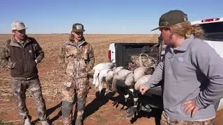 Goose Hunting Trifecta with Texas Tech: Specks, Snows and Canadas!!