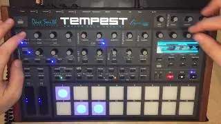 Dave Smith Tempest 16 Beats Demo (NO TALKING) (NO FX)