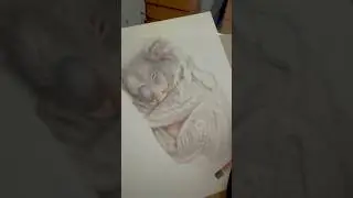 Work in progress! #animalart #koala #wildlifedrawing ￼￼