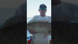 Get offshore with us at Hubbard's Marina! This fall will be EPIC!!!