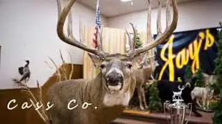 Michigan Buck Pole's 