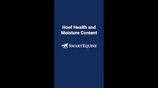 How Moisture in the Environment Affects Horse Hoof Health