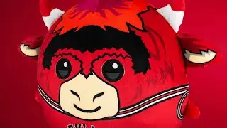 Sleep Squad Chicago Bulls Benny the Bull 12