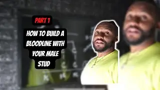 Building a Bloodline with your Boy Pt. 1