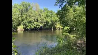 4 25 21 Anderson Springs Trail Twin Rivers State Forest