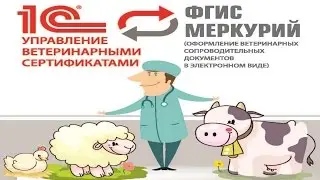 Настройка интеграции 1С:Управление Ветеринарными Сертификатами с ГИС Меркурий