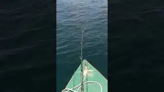 Boat got pulled by a fish! #popping #bc #eupro #pioneer #banax #fishon #fypシ #fypシ゚viral