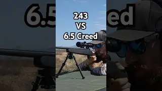 243 VS 6.5 Creedmoor - Which Should You Hunt With? #huntingrifles #deerhunting #hunting