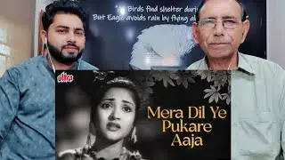 Reaction On वैजयंतिमाला जी का दर्द भरा गीत मेरा दिल ये पुकारे आजा | Mera Dil Ye Pukare | Nagin