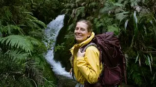 Waihāhā Hut Walking Track | Pureora Forest Park, Waikato | NZ native wildlife