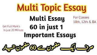 Multi / Multiple essays | How to write an essay outline | All in one Essay | 2nd year multi essay