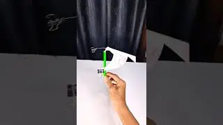 Balancing Bird