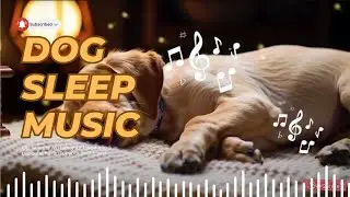 Weekend Plans? 😢 This Dog Sleep Music is The Perfect Companion for Your Lonely Pup!