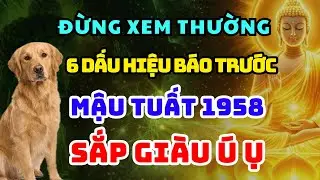 TRỜI PHẬT CHỈ RÕ 6 Dấu Hiệu Báo Trước MẬU TUẤT 1958 Phước Lớn Đang Đến, Đời Đổi Vận Tài Lộc Gõ Cửa