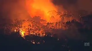 Emergency warning issued as bushfire rips through Holsworthy military base