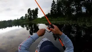 Washington Spring BASS FISHING