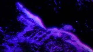 DRIP-133 ft. falls - geg
