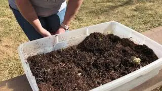 Seed Check