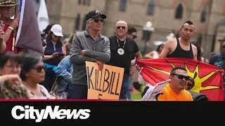 Bill C-5 becomes law: Here's what it does and the controversy behind it