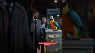 Parrot Solves Museum Heist with Roasts 🦜 | Police Comedy #parrot #lol&rdquo;