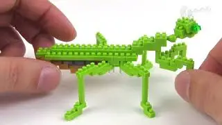 Nanoblock Praying Mantis set review 2013
