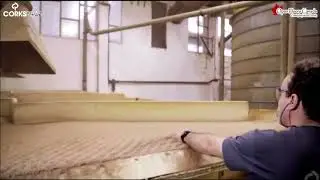 Opus Floors- Cork Granules
