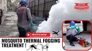 Mosquito Thermal Fogging Treatment | Fogging Treatment for Mosquitoes | Pepcopp Pest  Control