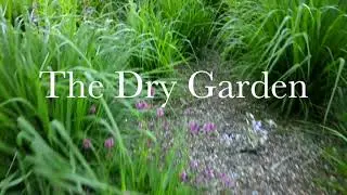 The Dry Garden in The Savill Garden